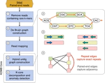 KOMB: Graph-Based Characterization of Genome Dynamics in Microbial Communities